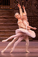 Dance Series